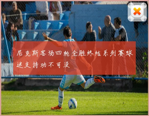 尼克斯客场四轮全胜终结系列赛球迷支持功不可没